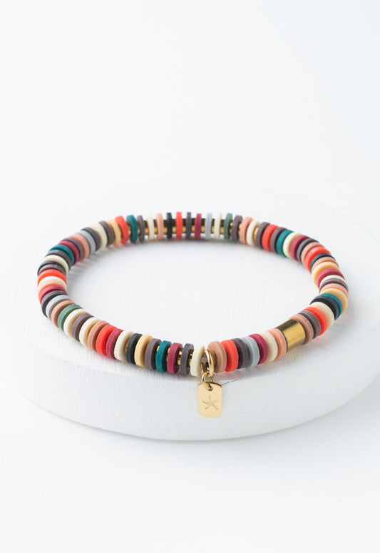 Inspired Multi Colour Bracelet